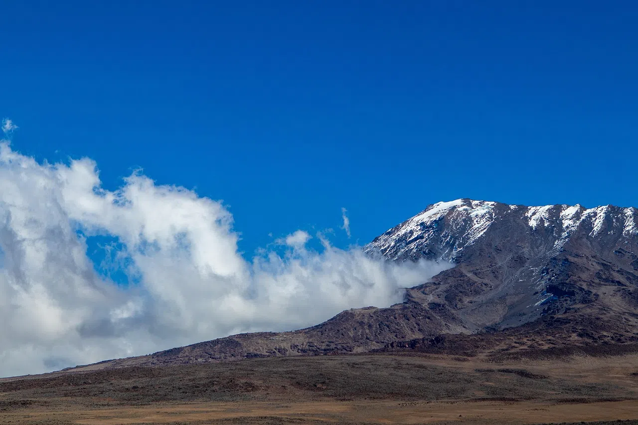 1 Day Kilimanjaro Hike from Moshi