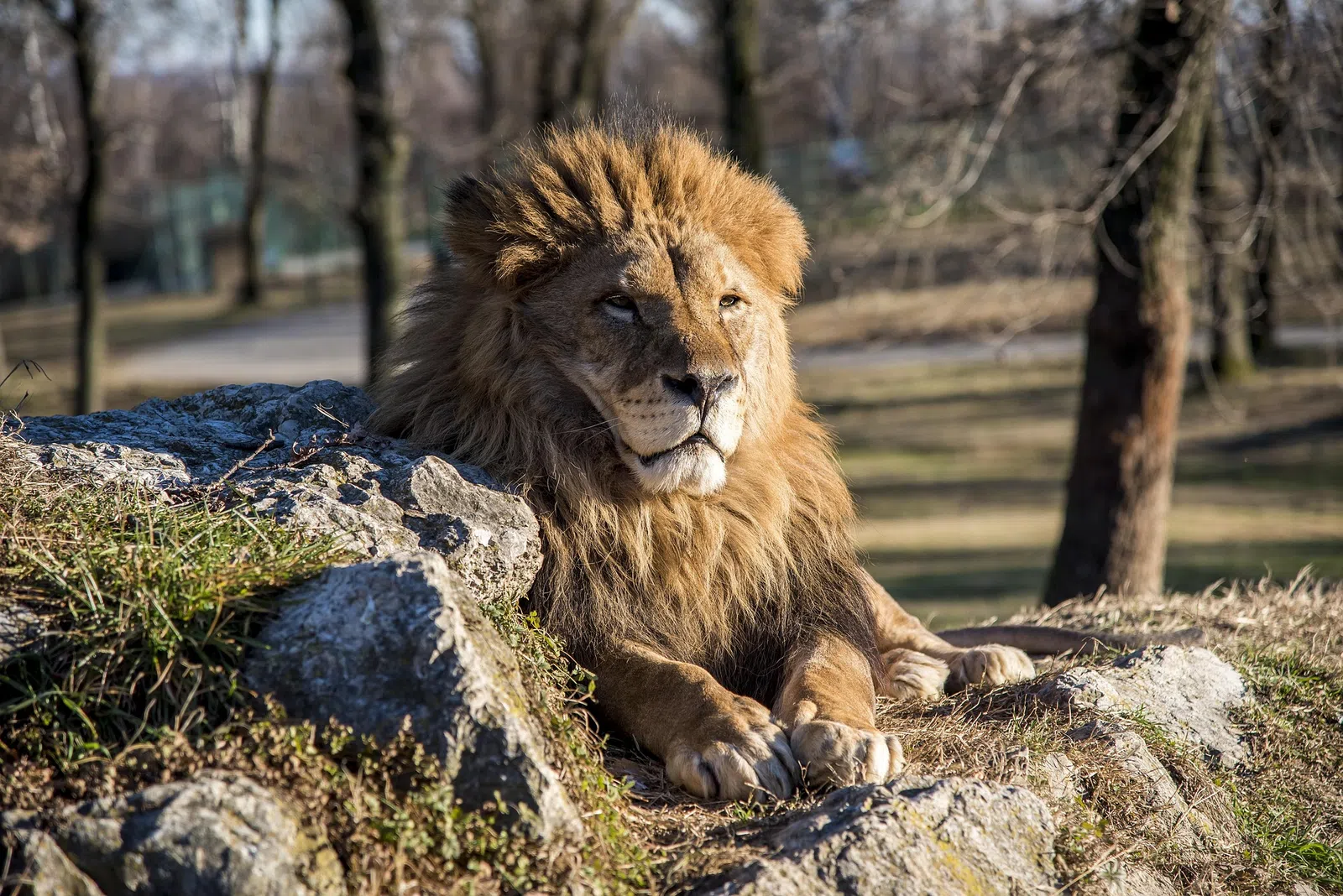 10 Days Tanzania Luxury Safari