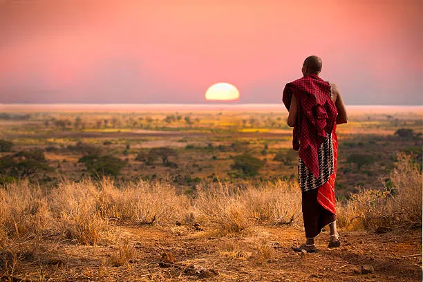 1 Day Maasai Cultural Experience from Moshi