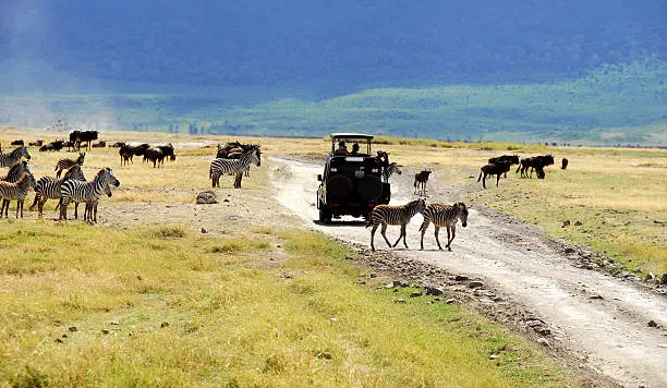 9 Days Tanzania Safari and Zanzibar Holiday