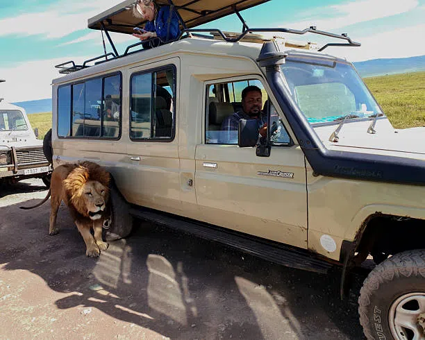 Kilimanjaro Packing List: Complete Gear Checklist