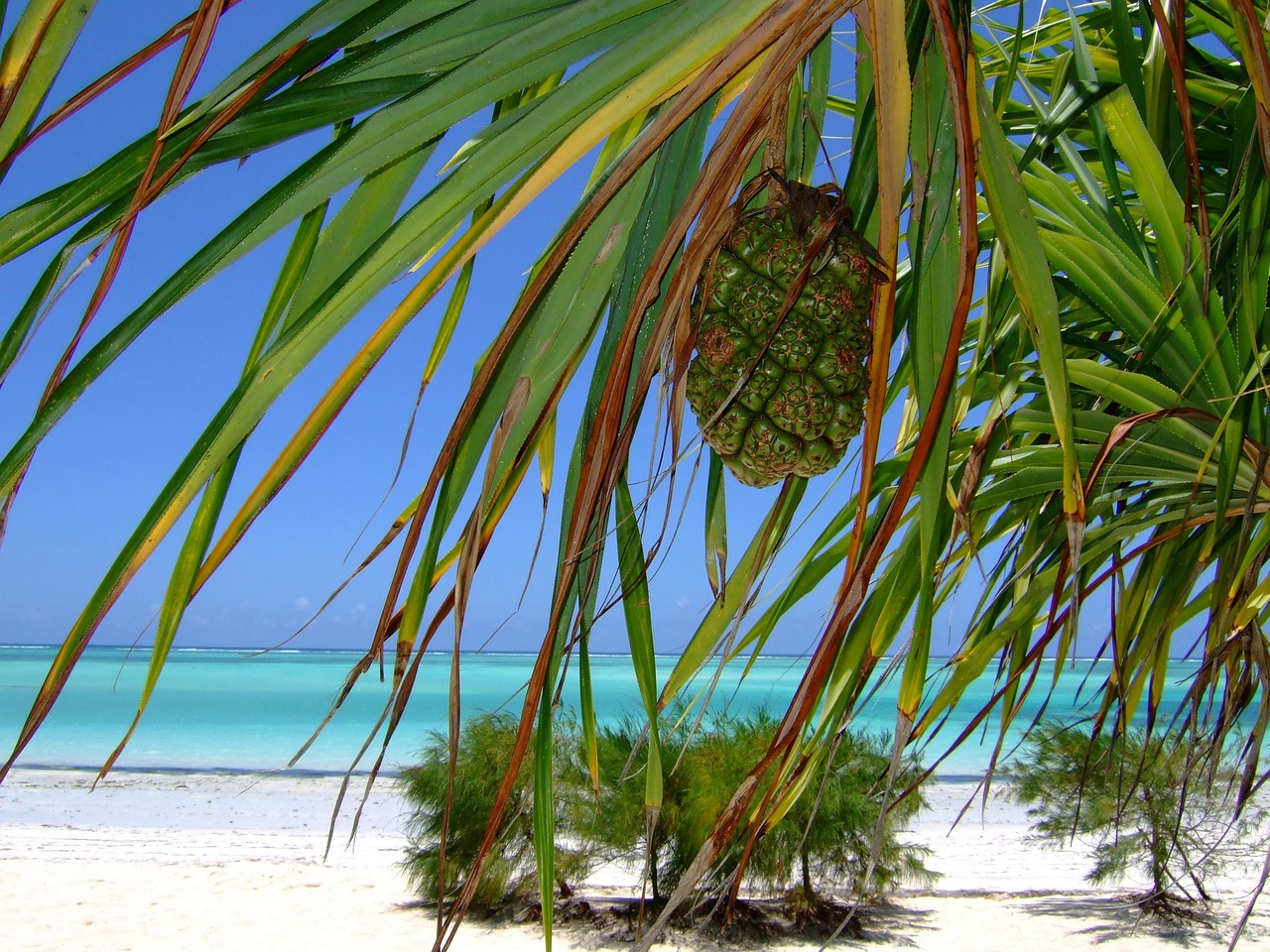 8 Day Paje and Jambiani Beach Adventure