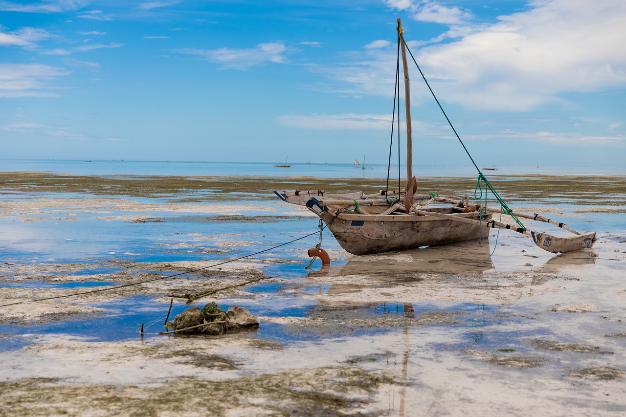 6 Day Zanzibar Spice Safari Blue and Beach