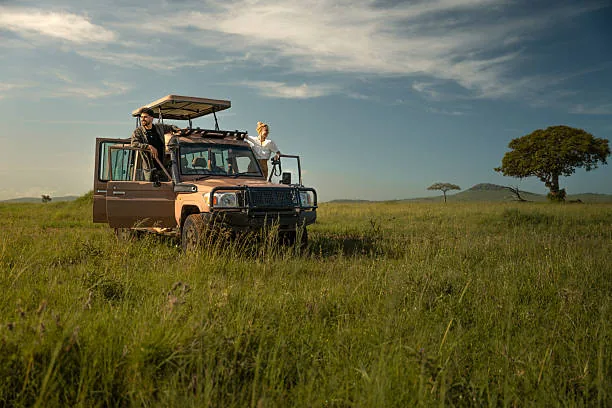 5 Day Luxury Tanzania Safari in Tanzania